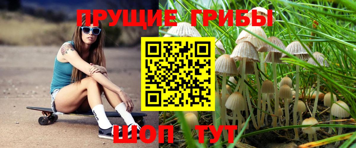 Псилоцибиновые грибы GOLDEN TEACHER  Вход с VPN  Острогожск  Галлюциногенные грибы мухоморы 